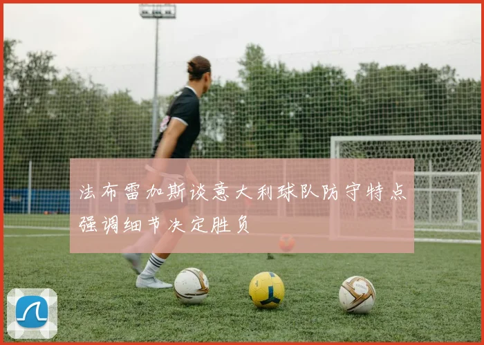 法布雷加斯谈意大利球队防守特点强调细节决定胜负